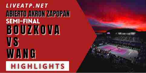 Bouzkova Vs Wang Semifinal 2022 Highlights