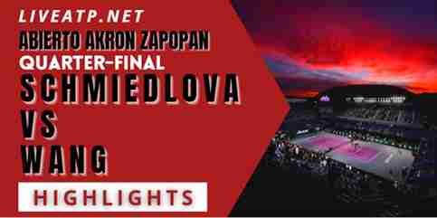 Schmiedlova Vs Wang Quarterfinal 2022 Highlights