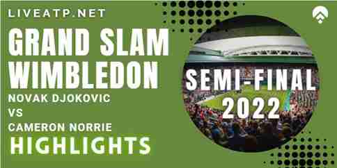 Djokovic Vs Norrie Semifinal 2022 Highlights